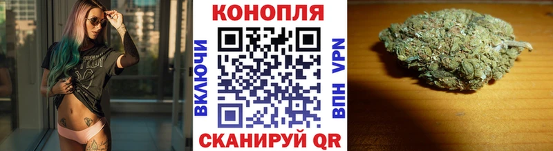 где можно купить   MEGA онион  Шишки марихуана OG Kush  Лесосибирск 